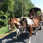 In Pyrenees With Stunning Mountain Views * Fenouillet