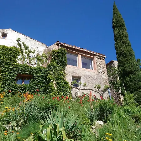 Willa Amazing With Garden *